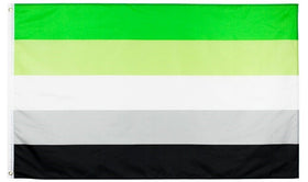 Flagge - Aromantisch