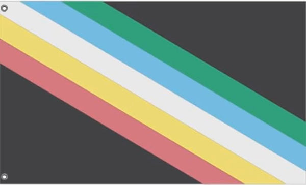 Disability Pride flag: a charcoal field crossed diagonally by red, gold, white, blue and green stripes.
