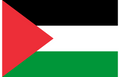 Flag - Palestine