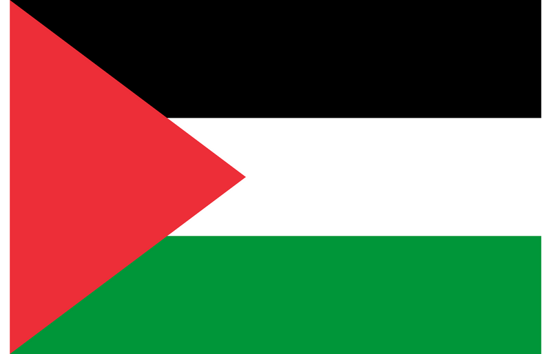 Palestinian flag: three equal horizontal bands, black on top, white in the middle and green at the bottom, with a red triangle extending from the hoist.