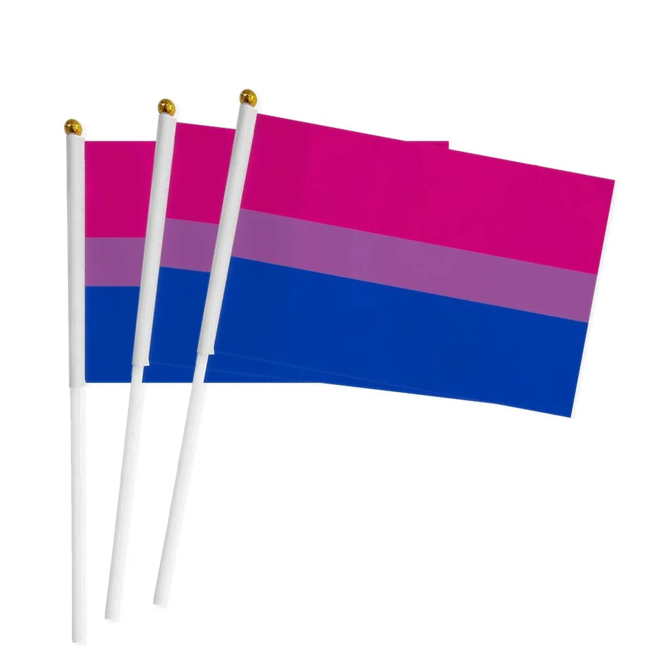 Pride Parade Hand Flags