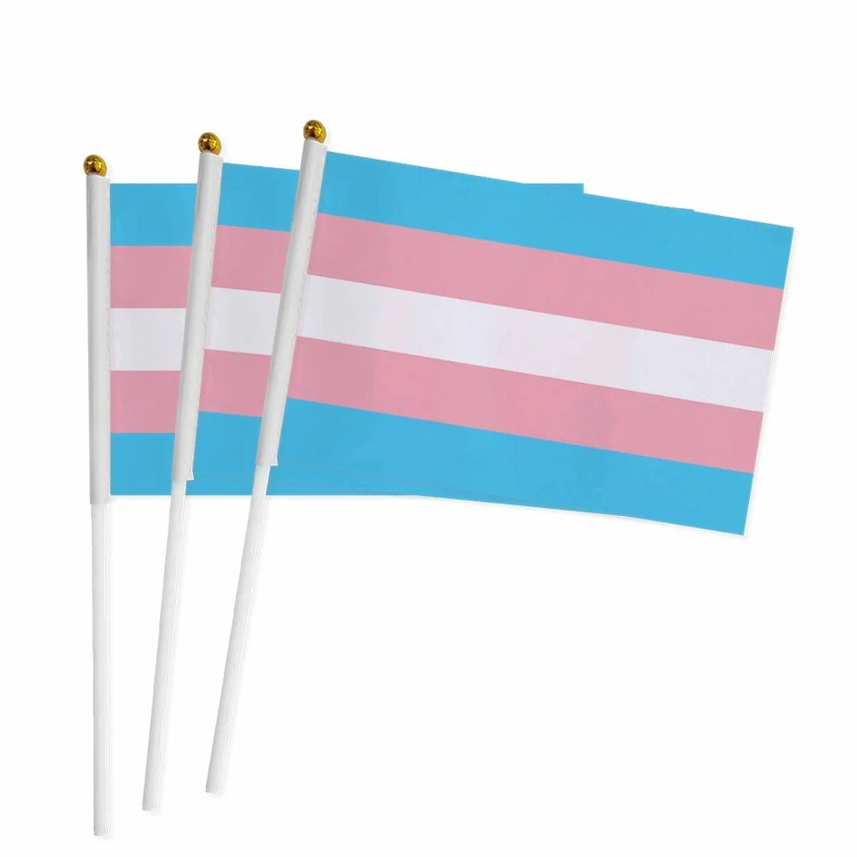 Pride Parade Hand Flags