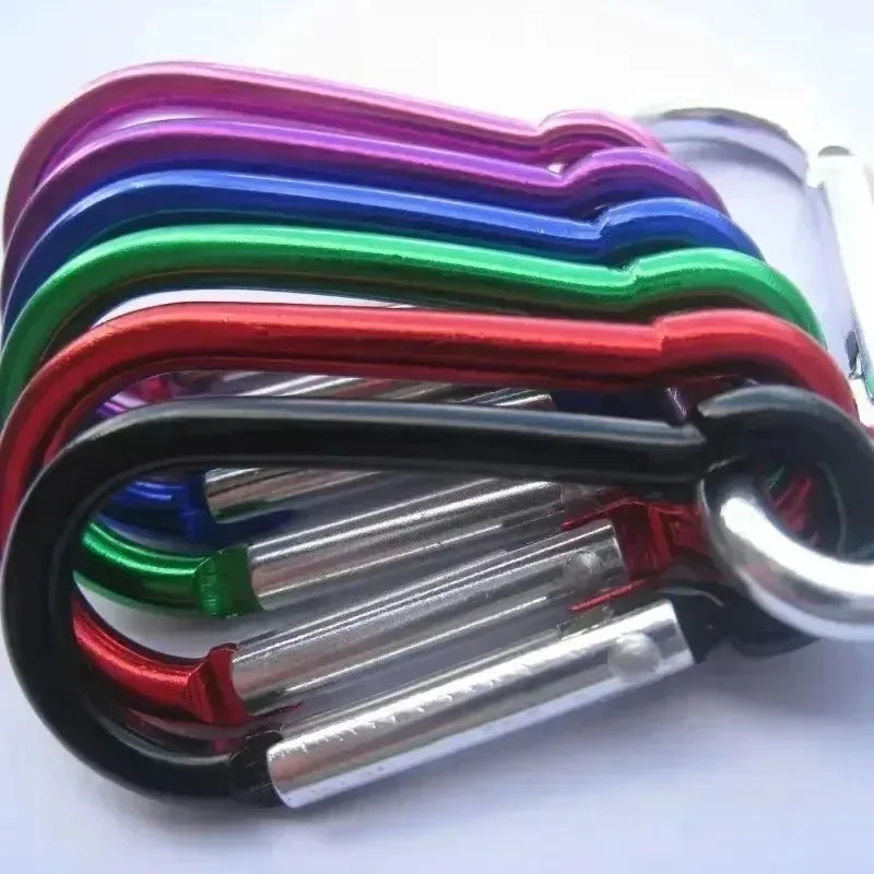Carabiner clips on bag