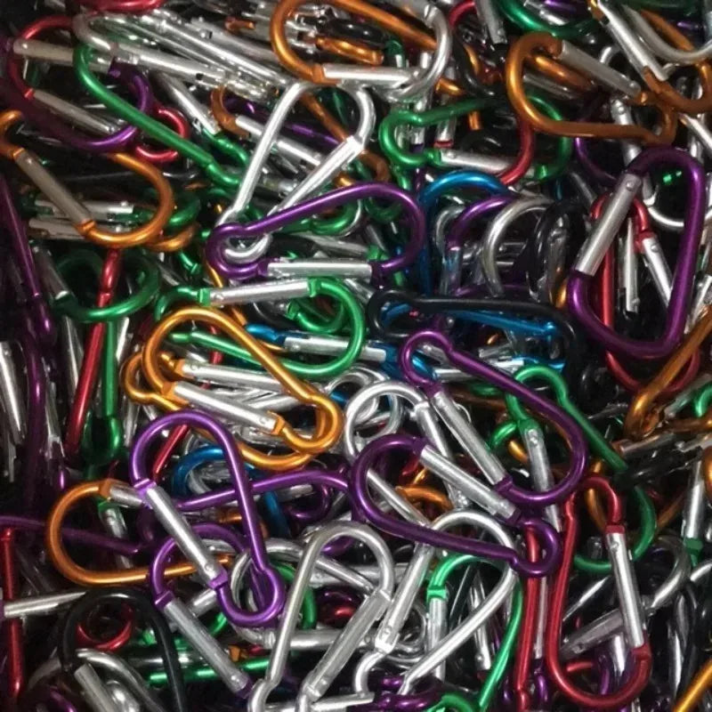 Carabiner clips detail