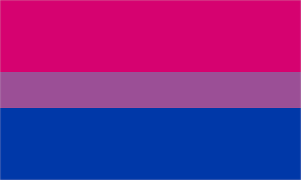 Bisexual pride flag with its characteristic coloured stripes.