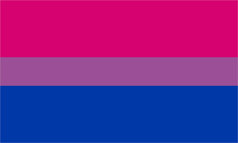 Bisexual pride flag with its characteristic coloured stripes.