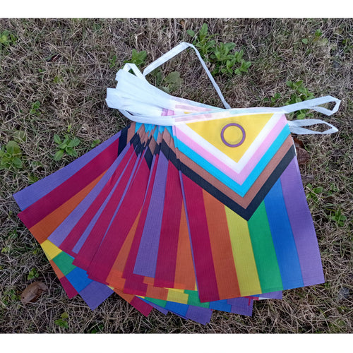 String of 20 decorative Rainbow Progress pride flags hung as bunting decoration