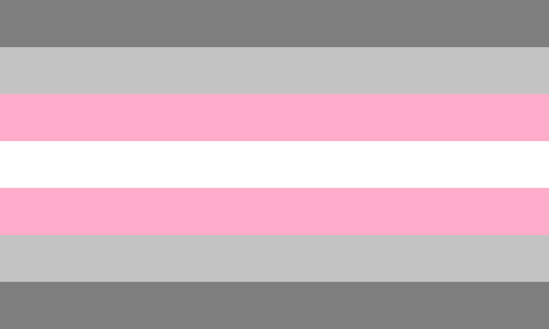 Drapeau demigirl : bandes symétriques gris foncé, gris clair, rose clair et blanche.