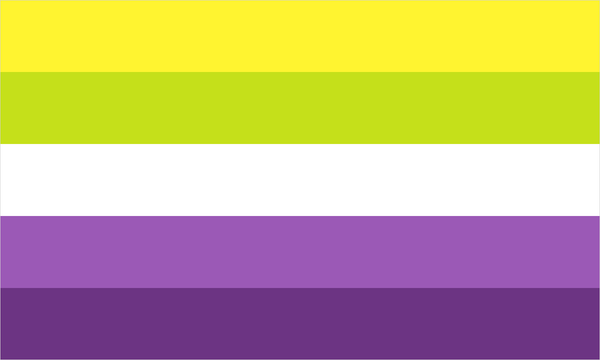 Enbian pride flag with its characteristic coloured stripes.