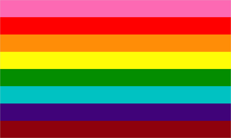 Gay / Homosexual pride flag with its characteristic coloured stripes.