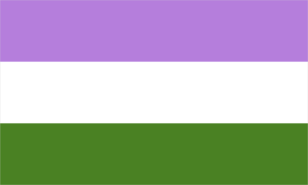 Genderqueer pride flag with its characteristic coloured stripes.