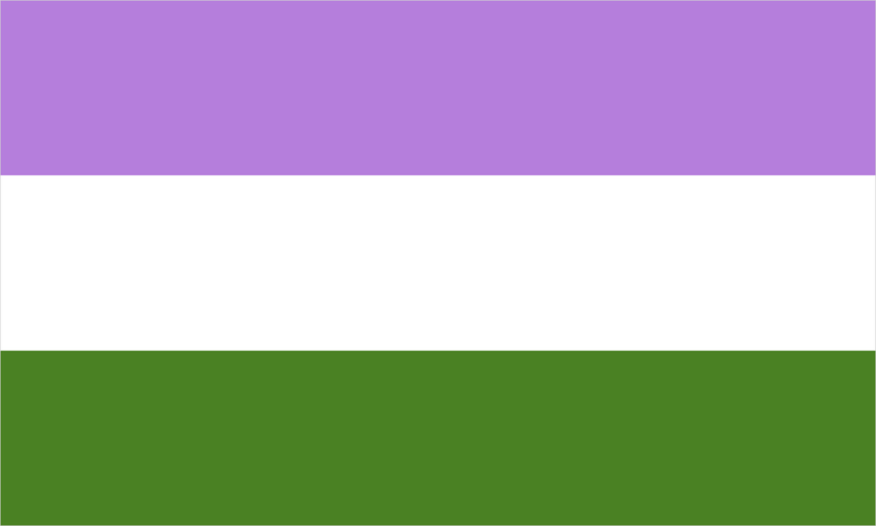 Genderqueer pride flag with its characteristic coloured stripes.