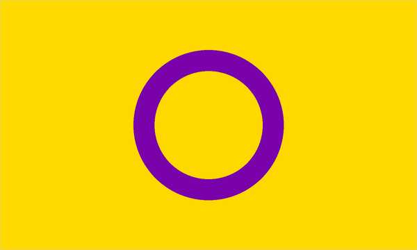 Intersex pride flag with its characteristic coloured stripes.