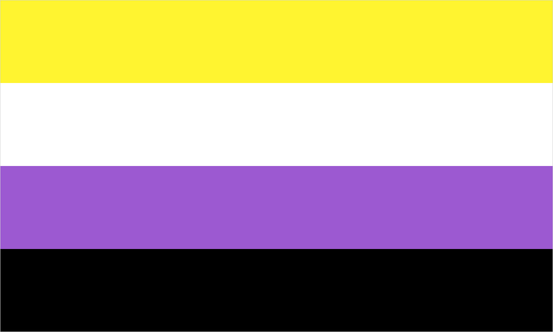 Non-Binary pride flag with its characteristic coloured stripes.