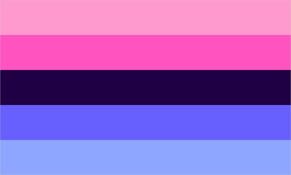 Omnisexual pride flag with its characteristic coloured stripes.