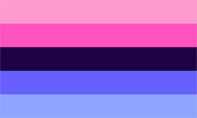 Omnisexual pride flag with its characteristic coloured stripes.