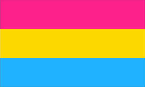 Pansexual pride flag with its characteristic coloured stripes.