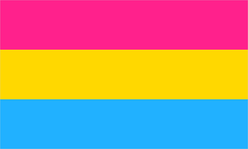 Pansexual pride flag with its characteristic coloured stripes.