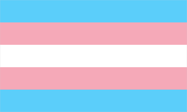 Transgender pride flag with its characteristic coloured stripes.