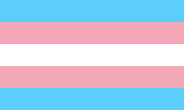 Drapeau transgenre : cinq bandes horizontales, bleu clair et rose de part et d'autre d'une bande blanche centrale, symétrique de haut en bas.